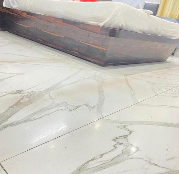 酒店 Krishna Palace By Wb Inn