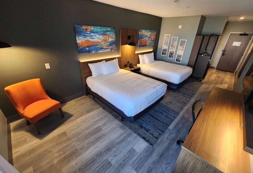 فندق La Quinta Inn & Suites By Wyndham Del Rio