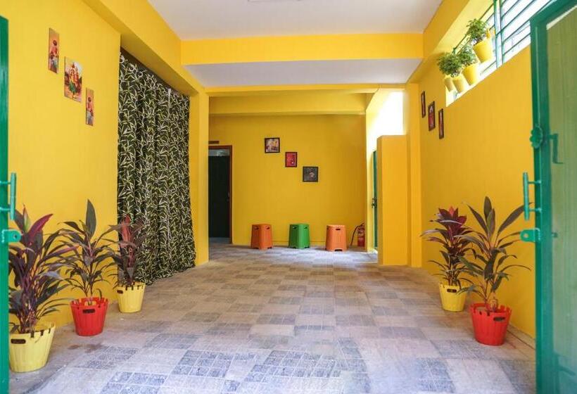 فندق Yellow Bells