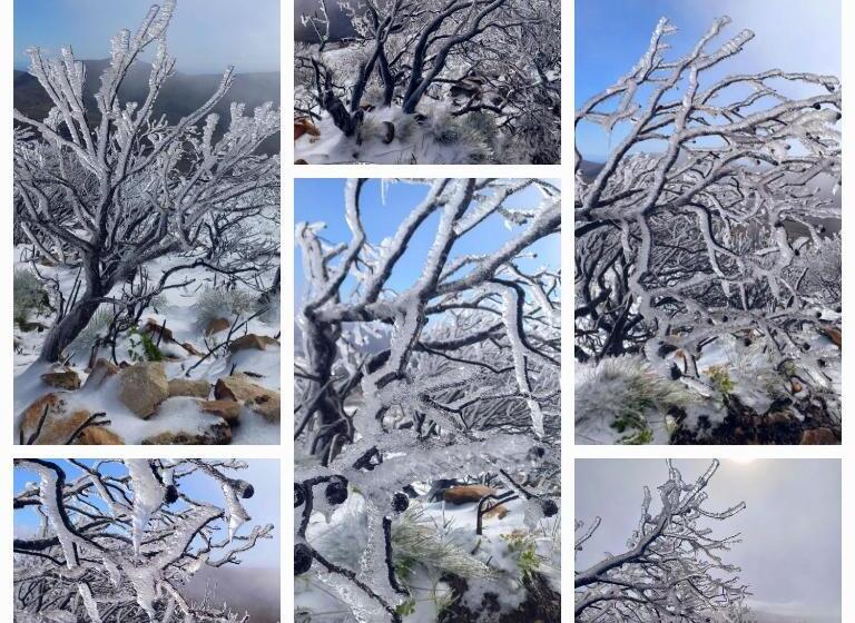 پانسیون Aloe Valley Retreat