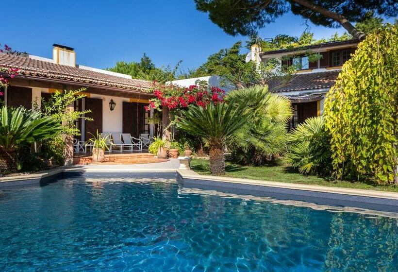 ペンション Mille Et Une Nuits  La Vénus De Lisbonne