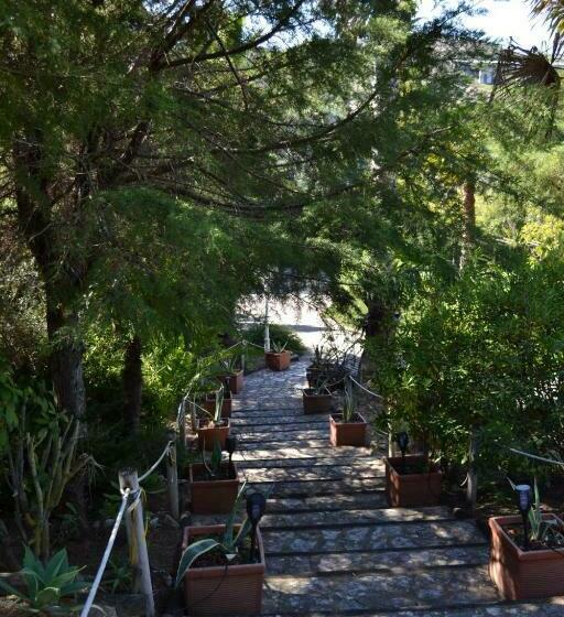 ペンション Mille Et Une Nuits  La Vénus De Lisbonne