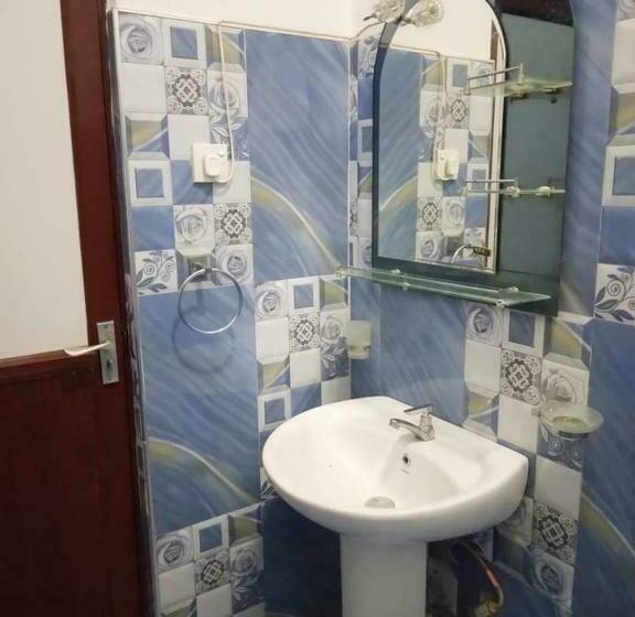 ペンション New Dinu Holiday Inn