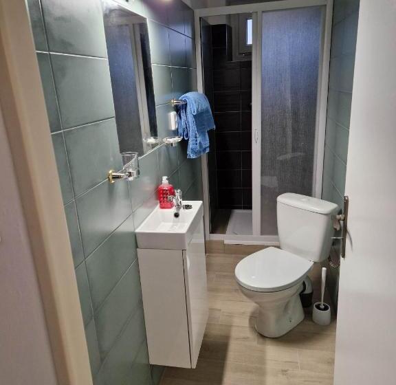 פנסיון Penzion Dubí   Ruská 393   110