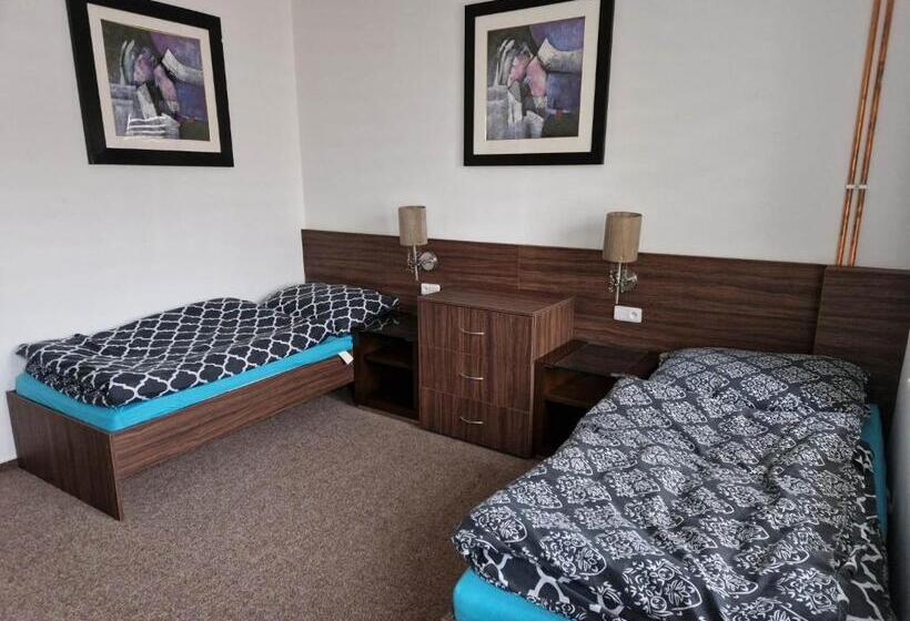 פנסיון Penzion Dubí   Ruská 393   110