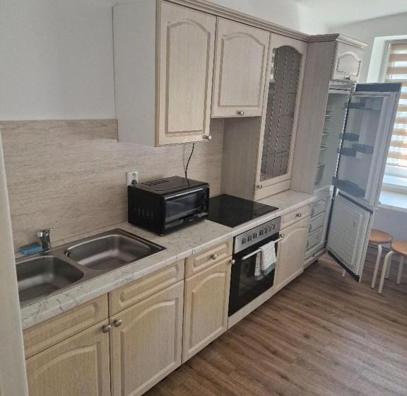 פנסיון Penzion Dubí   Ruská 393   110