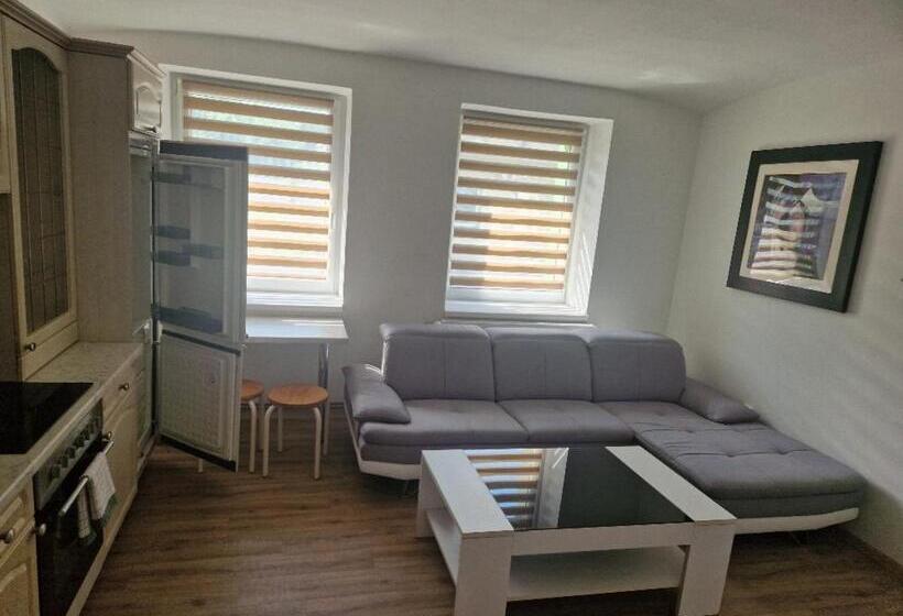 פנסיון Penzion Dubí   Ruská 393   110