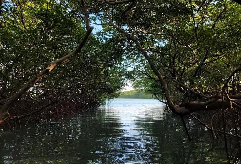 پانسیون Vila Coqueiro   Moitas