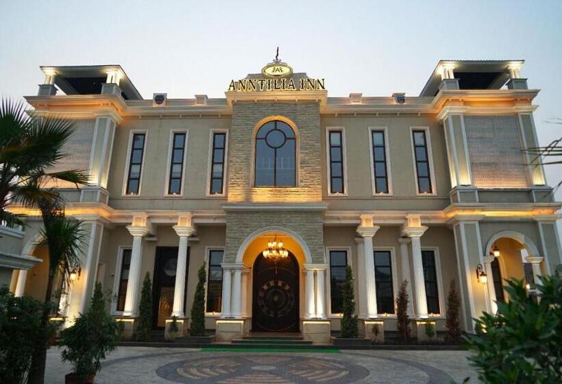 Отель Anntilia Inn