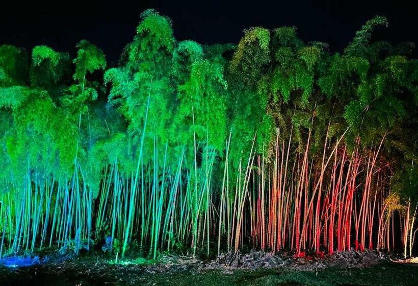 Finca Hotel Magia Cafetera