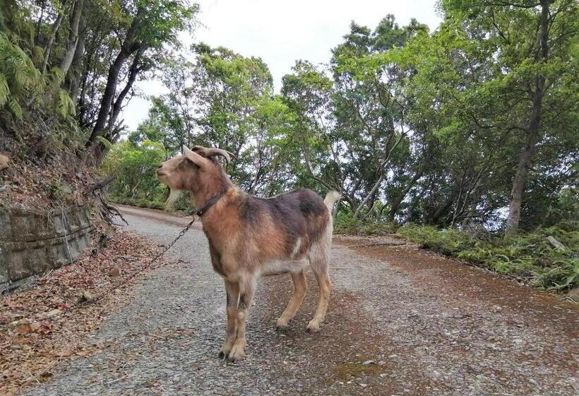 住宿加早餐  はこにわ｜田舎暮らしが体験できる宿