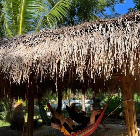 تختخواب و صبحانه Bohol Island Homestay