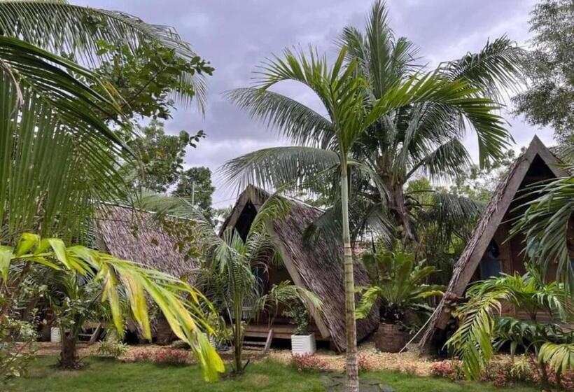 تختخواب و صبحانه Bohol Island Homestay