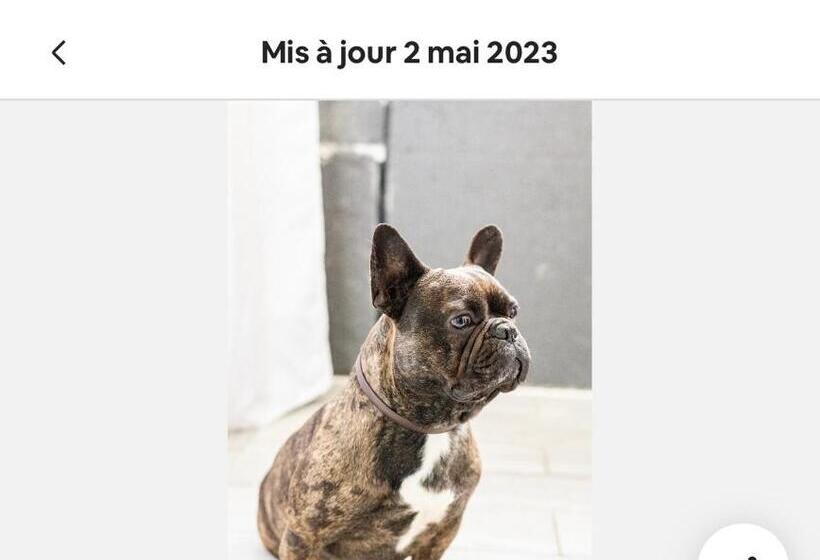 ベッドアンドブレックファースト Chambre Cosy