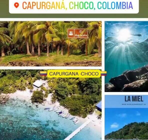 Пансион Cabaña Los Corales