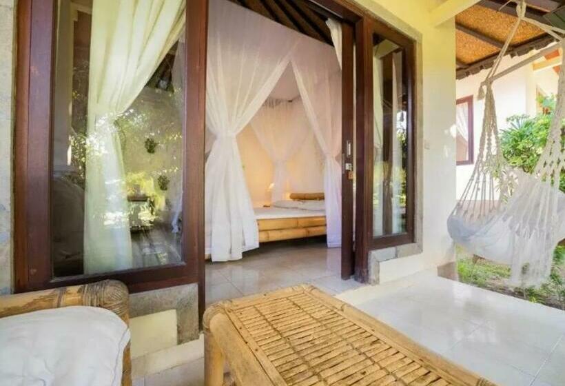 פנסיון Green Coco House