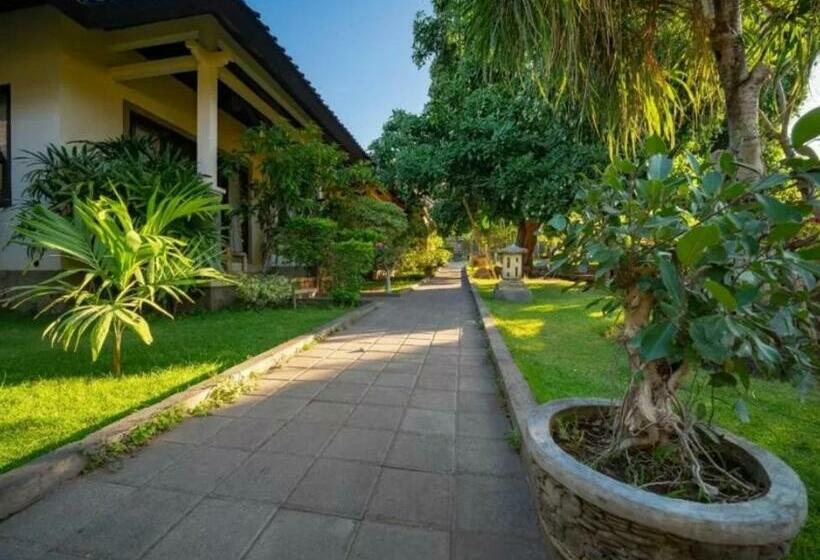 פנסיון Green Coco House