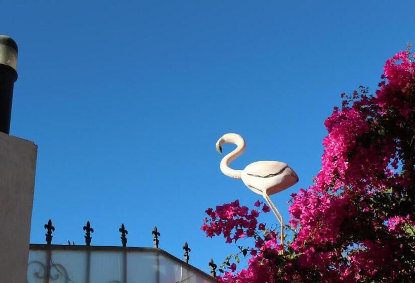 پانسیون Villa Andalusia Dahab Blue