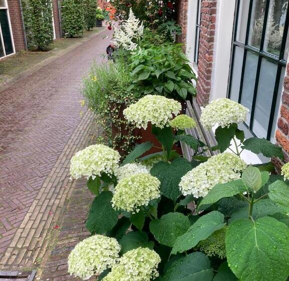 Bed and Breakfast Guesthouseone