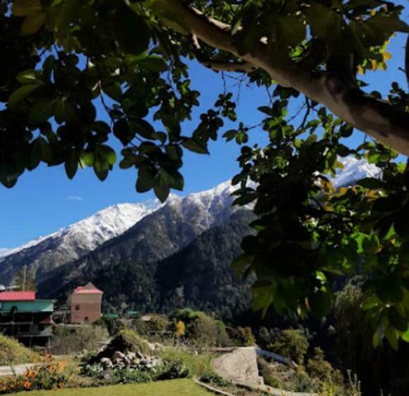 Bed and Breakfast Monal Residency By Stayapart