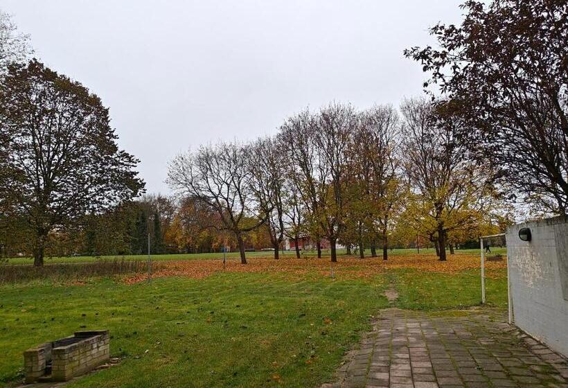 ベッドアンドブレックファースト Nest Hostel