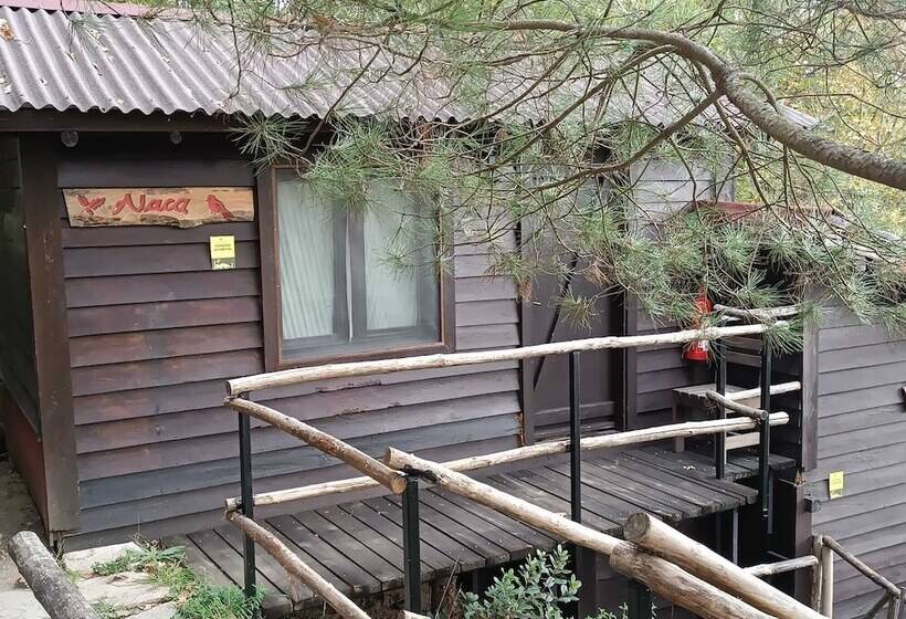 هتل Kulindağ Dağ Evi