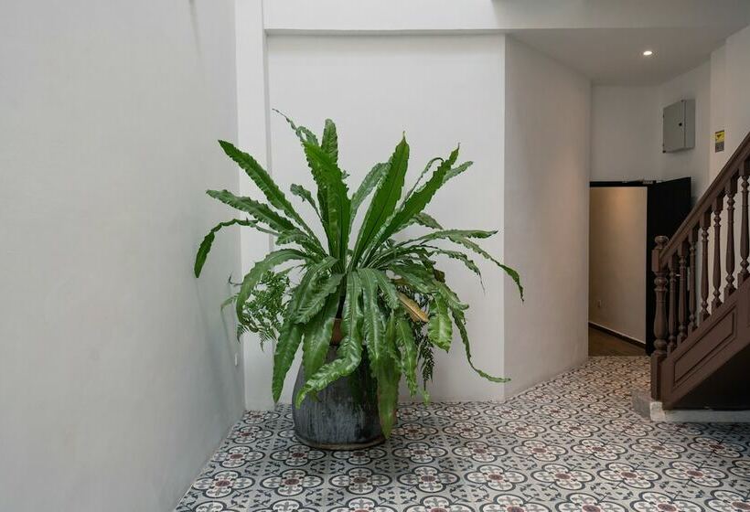 בית מלון כפרי The Magazine Boutique