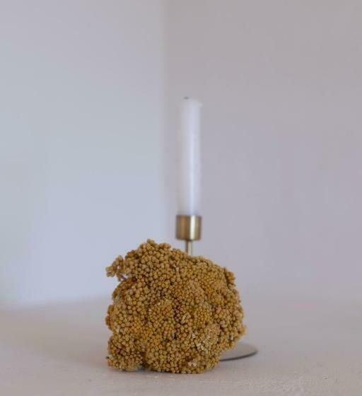 酒店 Villa Flaka Boutique Hôtel Confidentiel Et Convivial