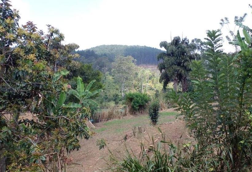 פנסיון Cool Breeze Guest Inn