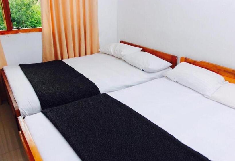 פנסיון Cool Breeze Guest Inn