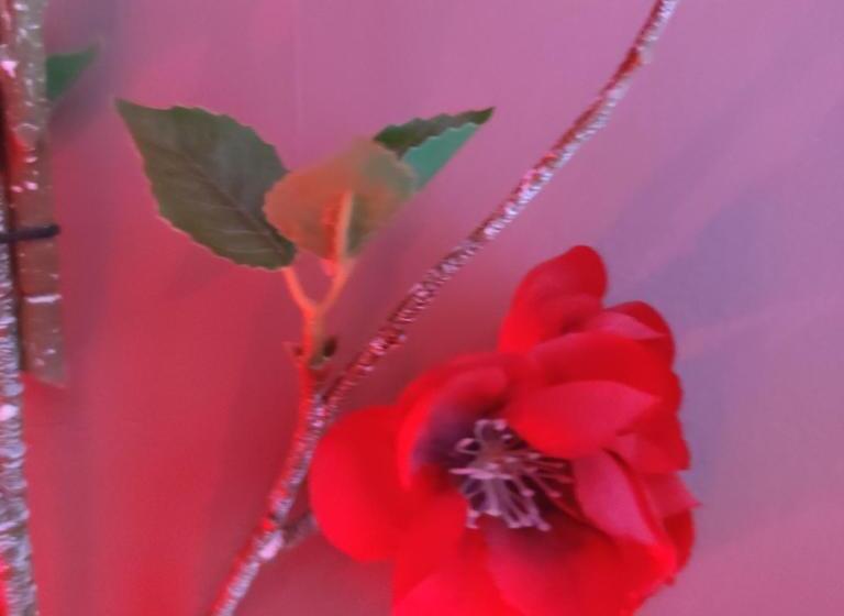 بنسيون Le Demeure De Poulpican Chambre La Grotte Jacuzzi Charme Romantique Terrasse Privée 300m Plage Et Re