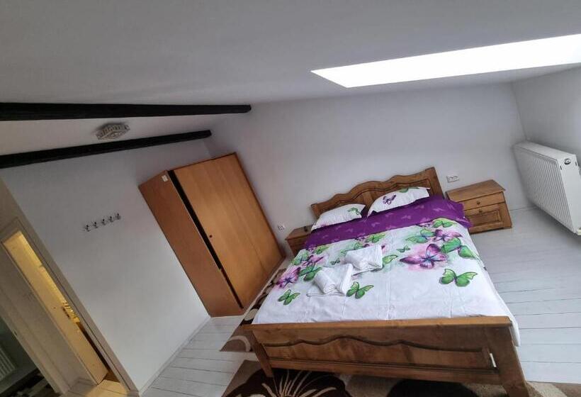 ペンション Moldi Muzeu