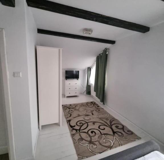 ペンション Moldi Muzeu