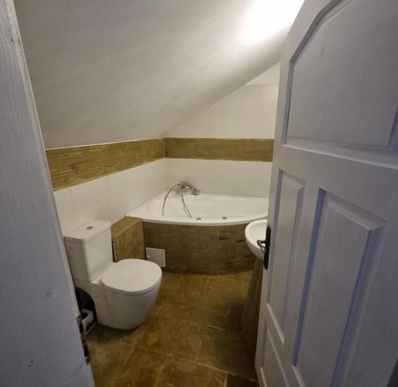 ペンション Moldi Muzeu