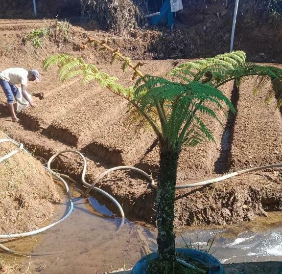 ペンション Rose Garden