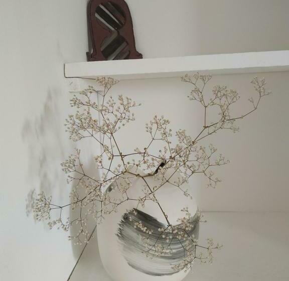 פנסיון Terre En Mer