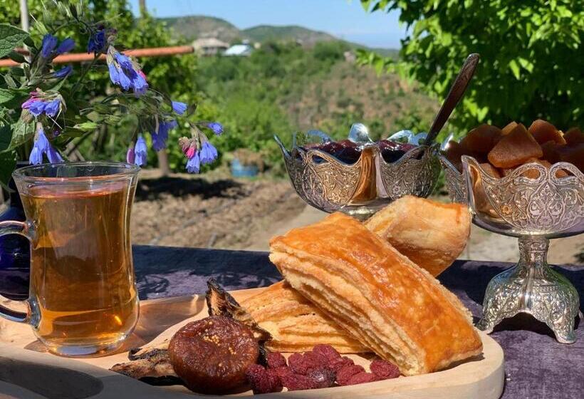 بنسيون Toon 16