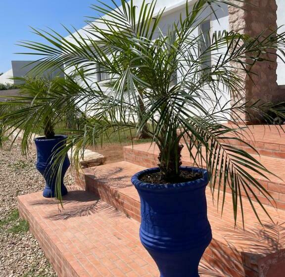 פנסיון Villa Migdol