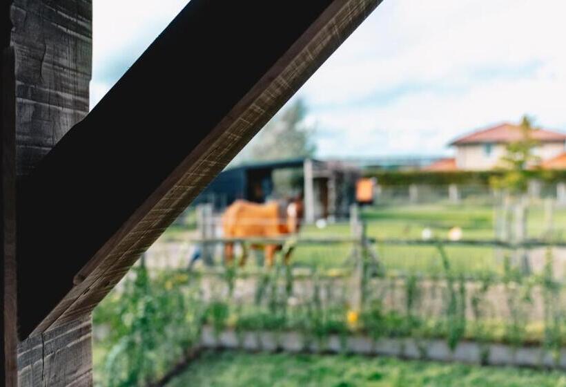 Wellness Bed & Breakfast By Leef