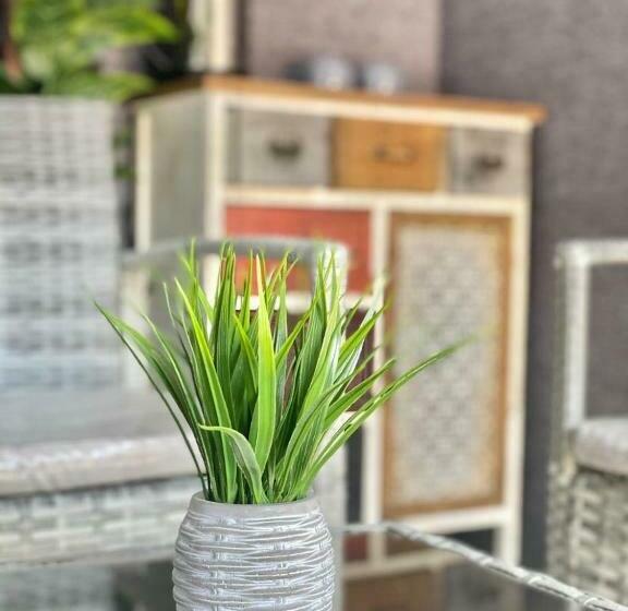 فندق منتجع ريف العلا