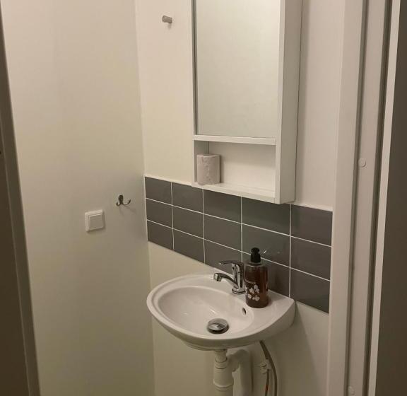 בית מלון כפרי L Silverborgen