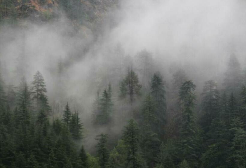 هتل Pineview Cafe