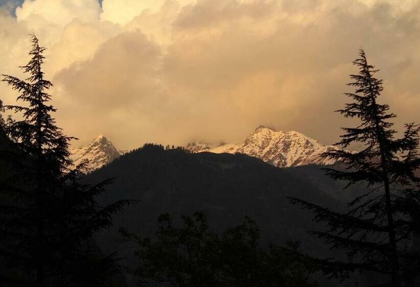 هتل Pineview Cafe