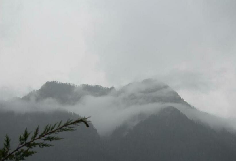 هتل Pineview Cafe