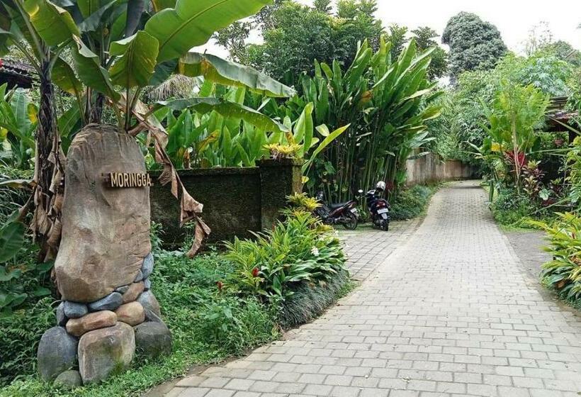 צימר Moringga Ubud
