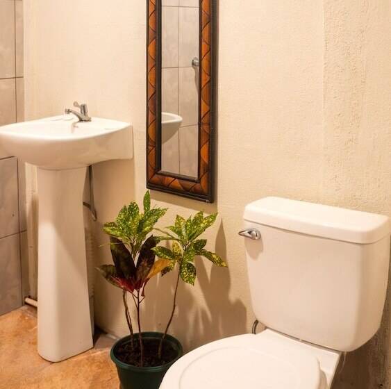 ペンション Eco Hotel Puerto Urbano