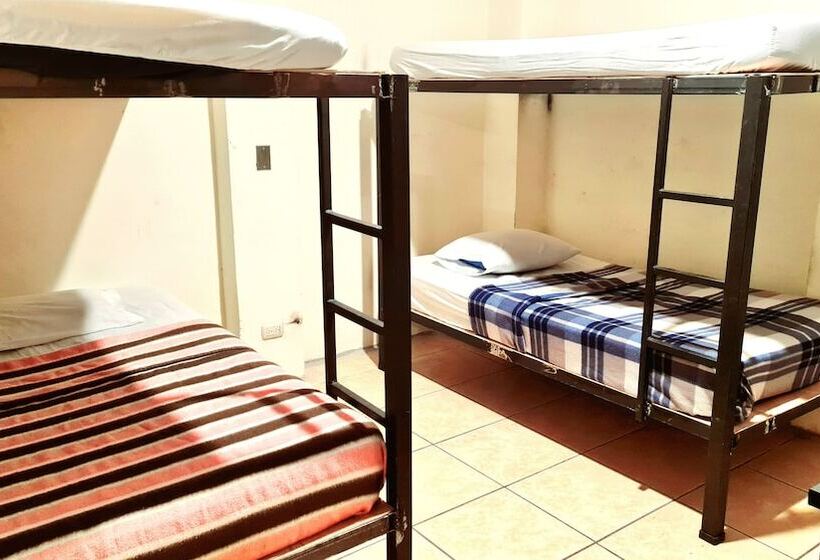 ペンション Eco Hotel Puerto Urbano