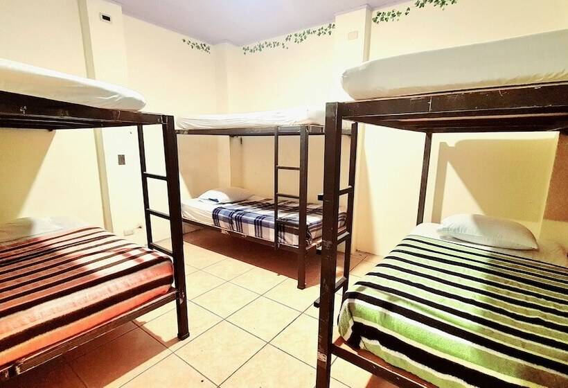 ペンション Eco Hotel Puerto Urbano