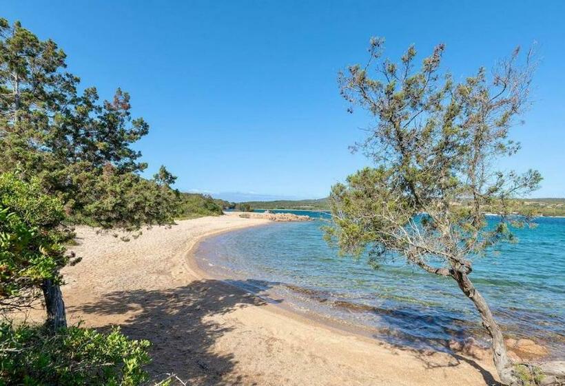 Residence Con Piscina A Palau, A Soli 150 Mt. Dal Mare