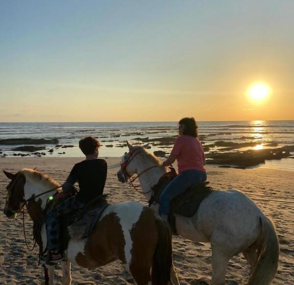 Casa Vitality Bed And Breakfast   Playa Guiones, Nosara   4 Minute Walk To The Beach